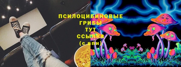 МДПВ Карпинск
