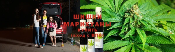 МДПВ Карпинск