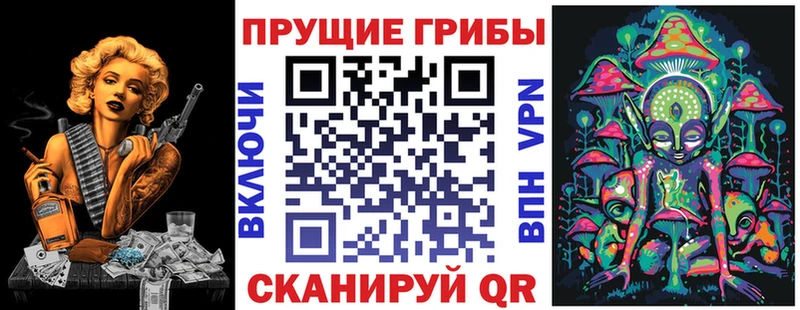 Псилоцибиновые грибы мицелий  Купить  Котлас 